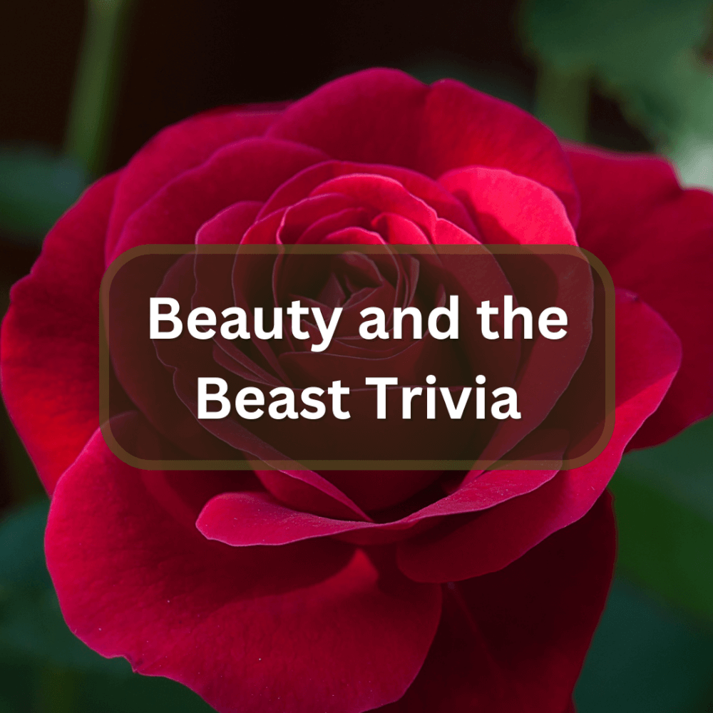 beauty and the beast trivia image