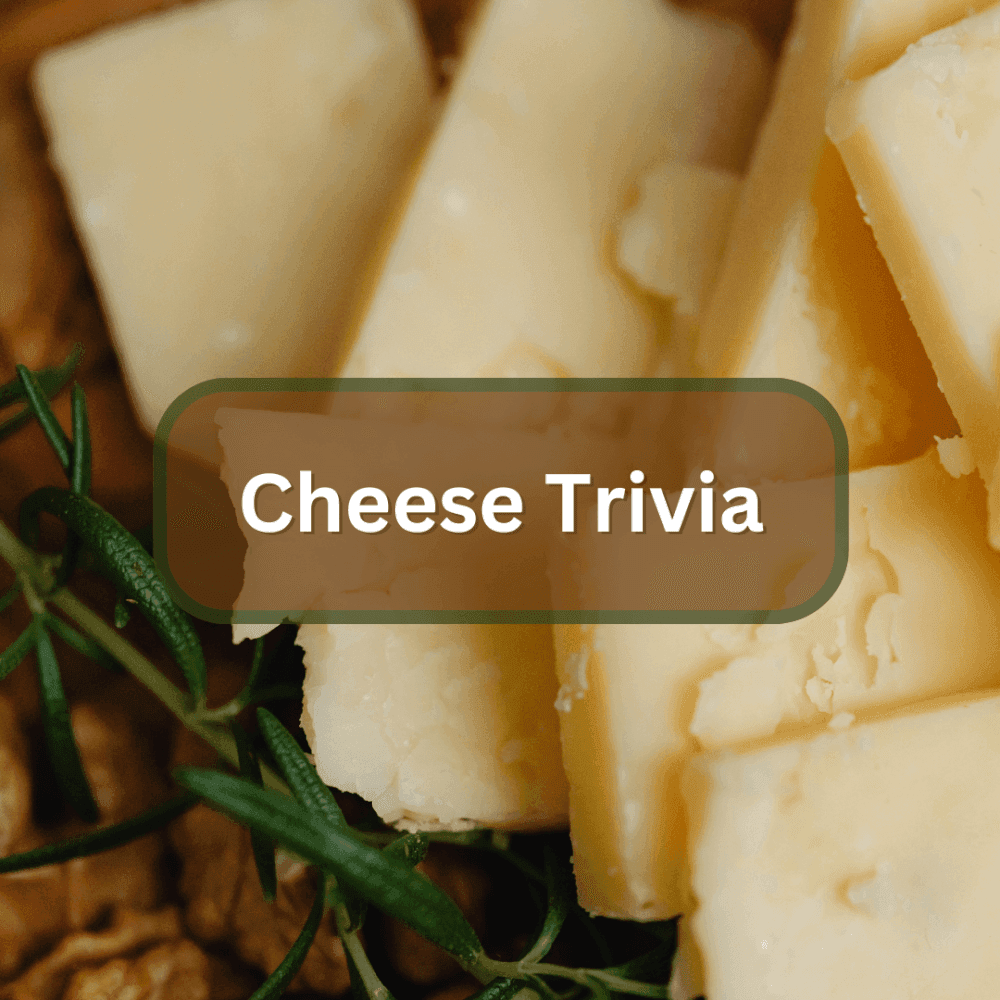 cheese trivia image
