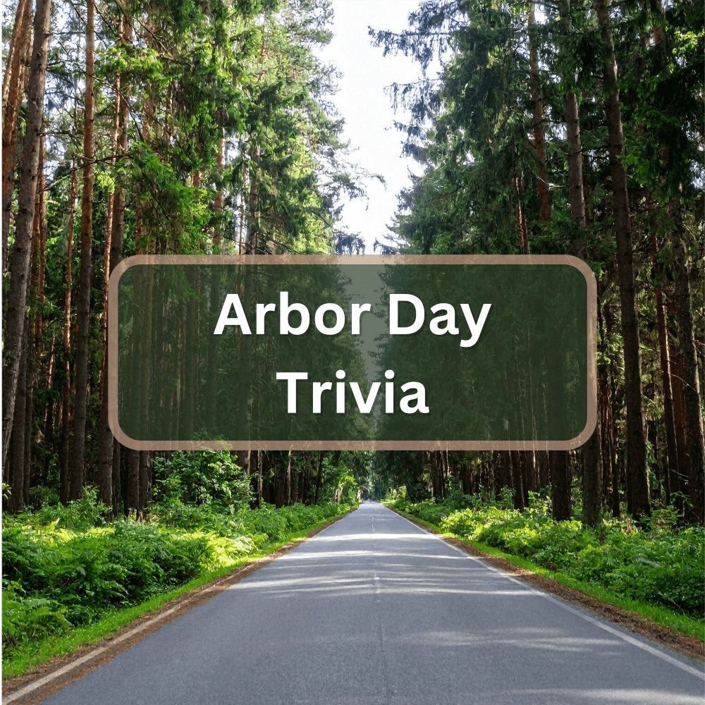 Featured image for Arbor Day Trivia