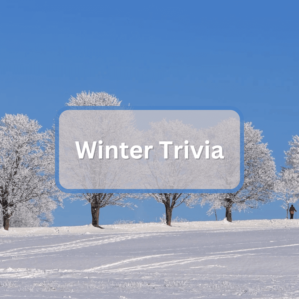 Featured image for Winter Trivia