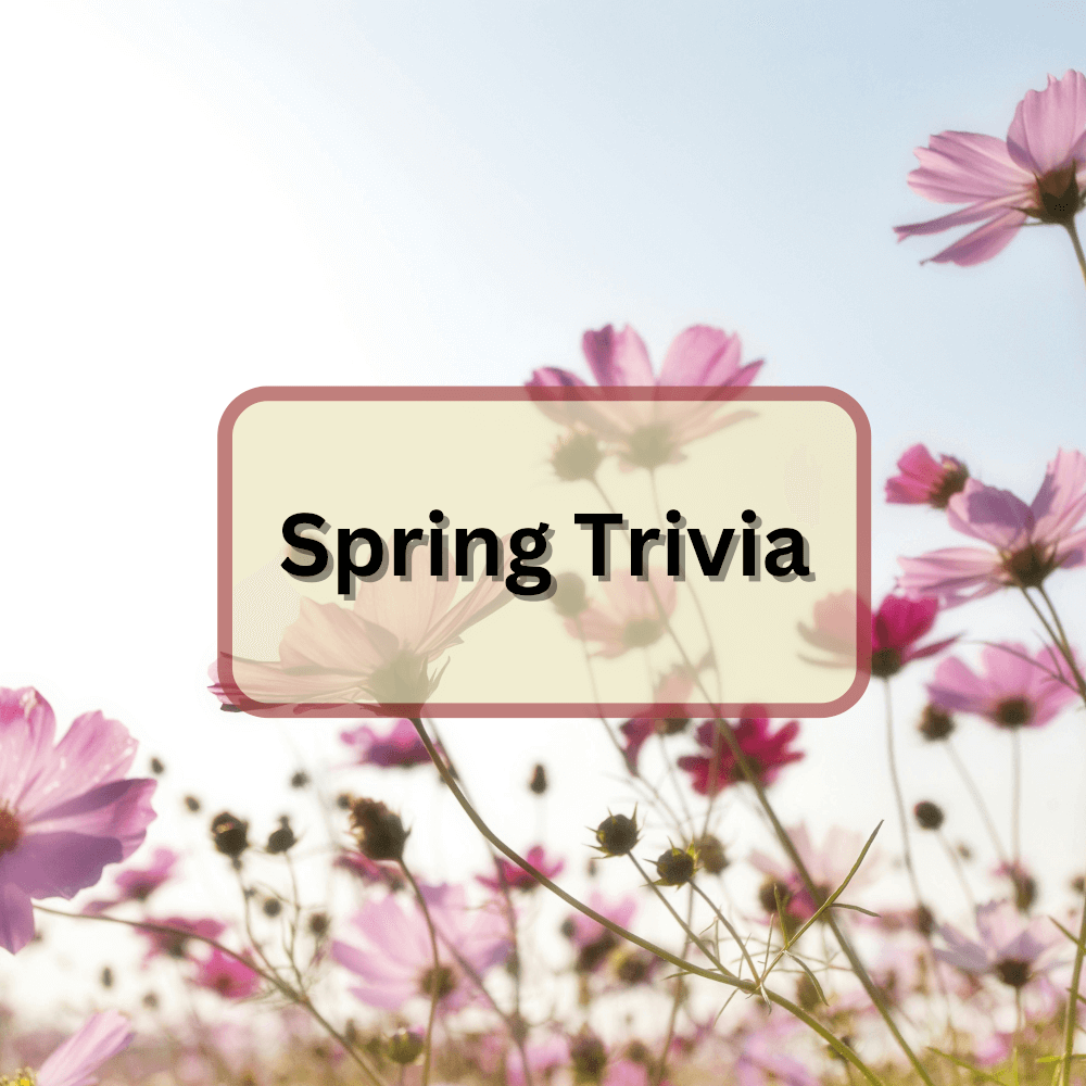 Featured image for Spring Trivia