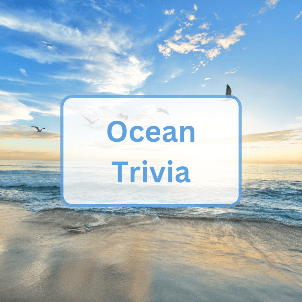 50 Ocean Trivia Questions and Answers Everything Trivia 50 Ocean Trivia Questions and Answers Everything Trivia