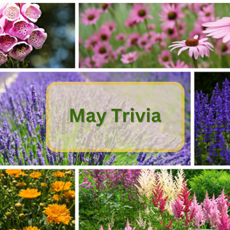 featured image for May trivia