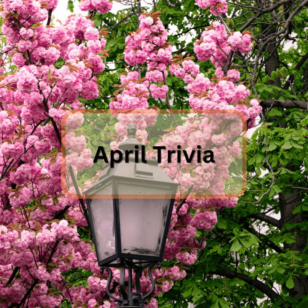 Featured image for April Trivia